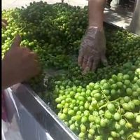 دستگاه بروز آبغوره گیری آبلیمو گیر آب غوره آتی ساز|آبمیوه‌گیر و آب‌مرکبات‌گیر|تهران, تهران‌سر|دیوار