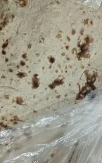 نان تنوری