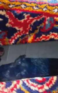 گوشی موبایل نوت 11s