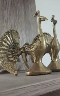 برنزطاووس