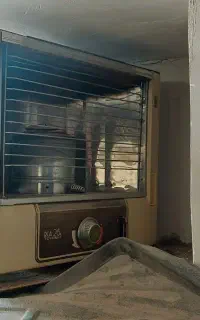 توریست ژاپنی