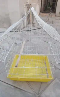قفس