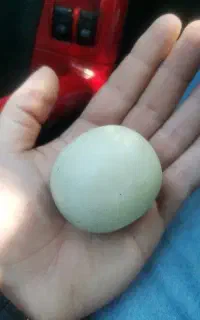 سنگ آسیاب، الماس لونسدالیت