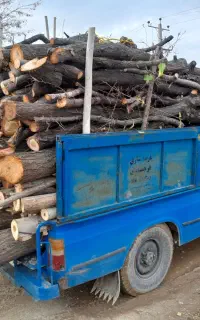 خرید چوب ترو خشک
