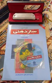ساز دهنی