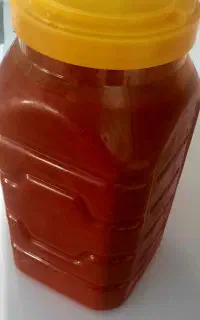 رب خانگی
