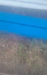 قوطی ۷در۷