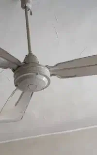 پنکه سقفی