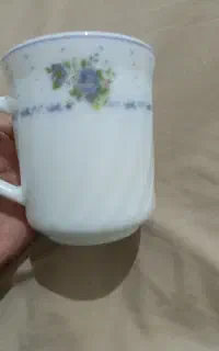 لیوان فرانسه