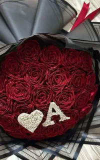 شیک و خاص