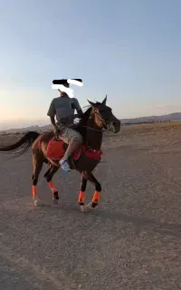 اسب مسابقه ای تمرین دیده