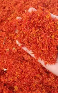 خریدار گلرنگ
