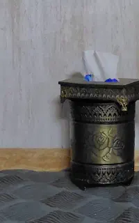 سطل و دستمال
