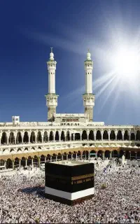 فروش فیش،حج تمتع