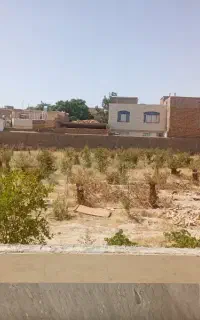 چمن