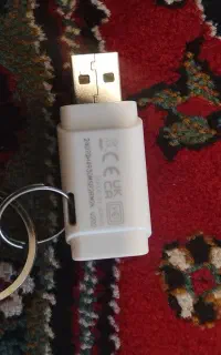 فلش گیگ