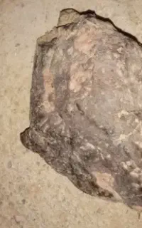 شهاب سنگ