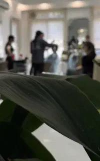 اجاره لاین خدمات زیبایی