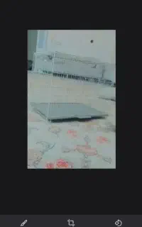قفس پرنده خیلی خیلی زیبا قشنگ فوری فوری