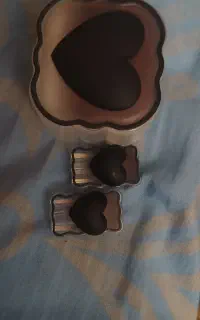 محافظ شارژر