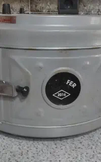 گل فر