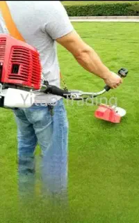 علف زنی و سمپاشی درختان باغ و باغچه
