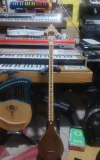 سه تار پنجه طاووسی