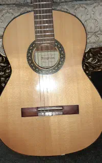 گیتار algresias