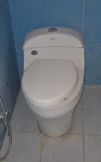 دستشویی فرنگی