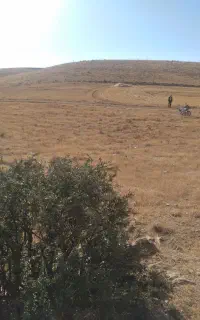 فروش کاه نرم در خرمن