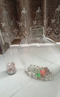 تنگ ماهی