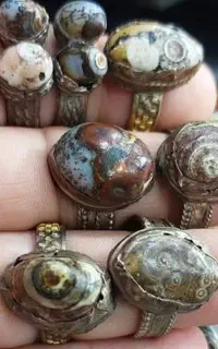مهره داوودی انگشتر کهنه