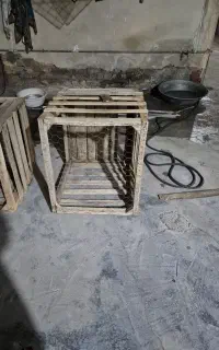 لانه پرنده