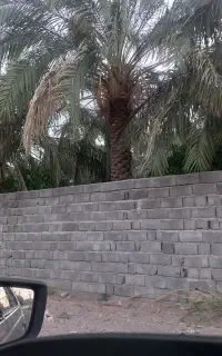 خوشه بندی