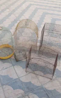 قفس پرنده