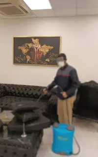 شرکت سمپاشی ساس موش سوسک بید موریانه با ضمانت کتبی