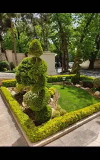 باغبانی باغچه کاری گل کاری.هرس کاری.گل وگیاه