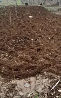 شخم زنی دستی