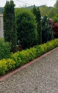 محوطه سازی وگل کاری ونگهداری فضای سبز
