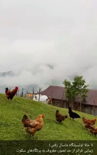 جویای کار سرایداری