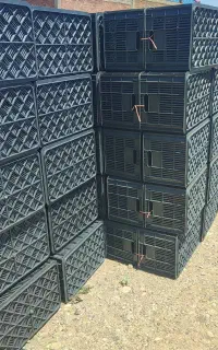 سبد بیست کیلوی
