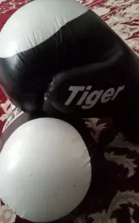 دستکش بوکس