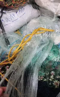 تور ماهیگیری