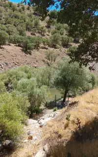 شاگرد کامیون