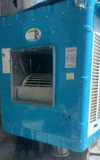 کول جنگل استیل نو