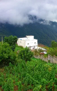 اجاره ویلا لوکس جنگلی استخردار