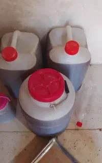 عسل لامصب عسل