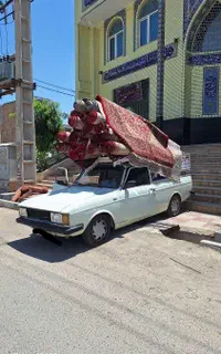 خدمات  قالیشویی  فرهنگ /هشتگرد/مهستان و حومه