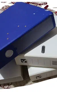کلاسور درحد