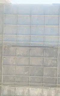 سبد ماهی